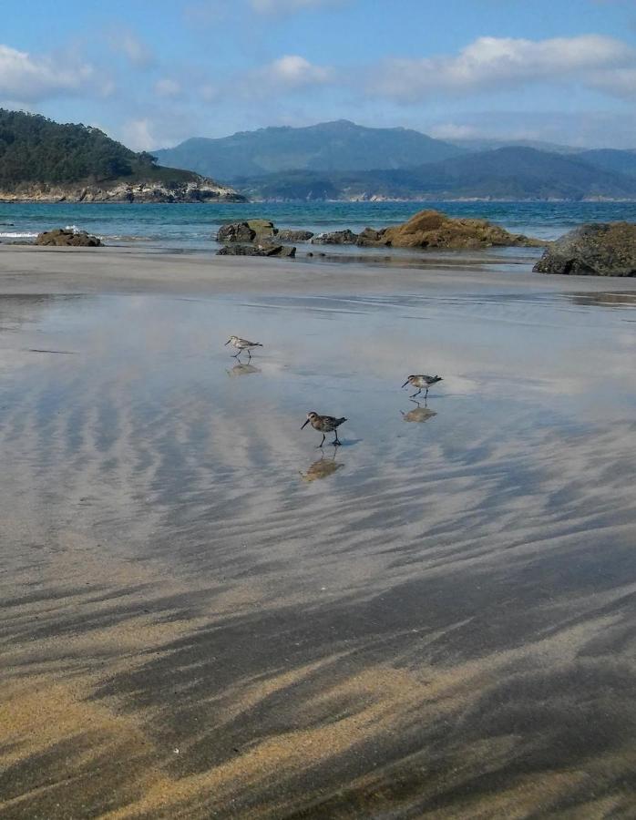 Apartamentos Playa De La Concha ปอร์โต เด เอสปาซานเต ภายนอก รูปภาพ